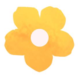 DƬ